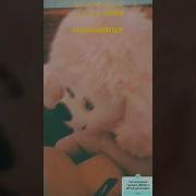 Владимир Башлыкова Сигнализация