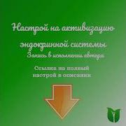 Эндокринную Систему Сытин