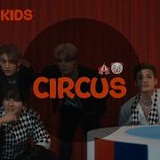 Circus 8D Skz