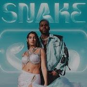 Jason Derulo Snake