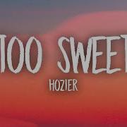Hozier Too Sweet Lyrics Unique Vibes