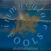 Immaculate Fools Nothing Means Nothing