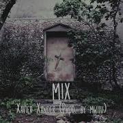 Xavier Xander Mix