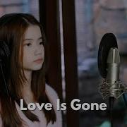 Love Is Gone Slander Ft Dylan Matthew Shania Yan Cover Shania Yan