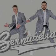 Bernuzeliai