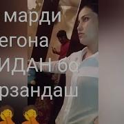 Зино Боз Як Зани Дигарро Капидан