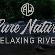 Perverse River Wordly Blissful Nature Music