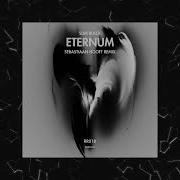 Slim Black Eternum Sebastiaan Hooft Remix