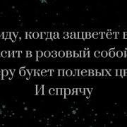 Соберу Букет Полевых Цветов И Спрячу