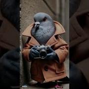 Ш Пианино Голубино
