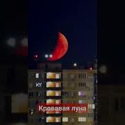 Пандочка Кровавая Луна