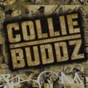 Collie Buddz Collie Buddz Come Around Hq Ident1Tyx