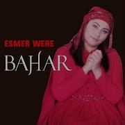 Bahar Esmer Were