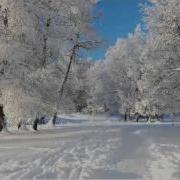 Башлачев Зимняя Сказка