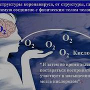 Музыка От Светланы Грабовой