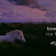 Boerd Ice Hot