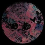 Error Etica Hologram Universe