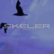 Ivoxygen Lifestyle Skeler X Sage Rmx