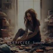 Elexicize Scattered 2024