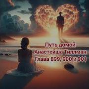 Путь Домой Глава 900