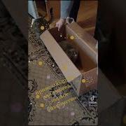 Просто Люблю Её Сильно Кавер