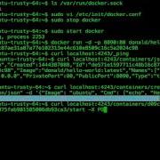 Beginning Docker Using The Docker Remote Api Packtpub Com Packt