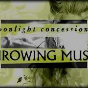 Moonlight Concessions Throwing Muses Album