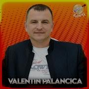 Valentin Palancica Vine Mama La Fecior