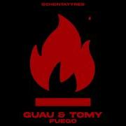 Guau Tomy Fuego