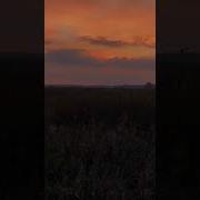 Я Хочу Знать Всё К Хренам Твои Знания