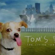 Tom S Dog