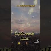 Александр Янущик Сорванный Лист