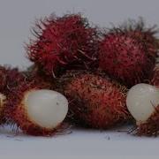 Rambutan