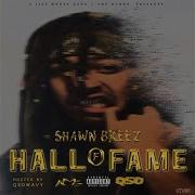 Shawn Breez Why They Hatin