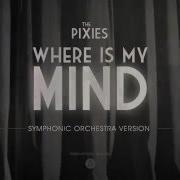 Pixies Where Is My Mind Orchestra Tribute