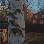 Николай Волков В Радиоспектаклях