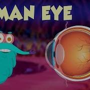 Eyes Open 3 Unit 8 Test