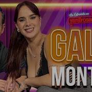 Gala Montes