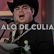 El Malo De Culiacan Alfredo Olivas Letra Lyrics Corridosmx