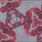Заставки Нтв Reverse