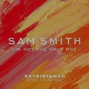 I M Not The Only One Sam Smith Speed Up