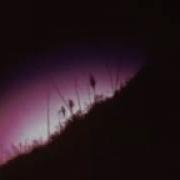 Wifiskeleton Nope Your Too Late I Already Died Slowed Instrumental