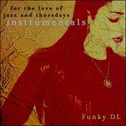 Funky Dl This Burning Love I Have Jazz Hip Hop Mix Instrumental