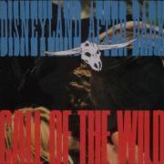 D A D Call Of The Wild