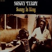 One Monkey Dont Stop The Show Sonny Terry