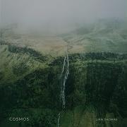 Pollux Liam Thomas