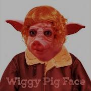 Chaz Jankel Wiggy Pig Face