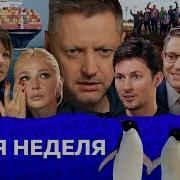 Редакция Невс 113 Неделя