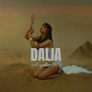 Dalia Instrumental