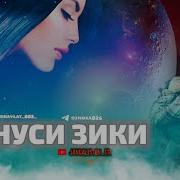 Минуси Зики Кулобтим